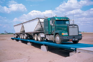 優質的電子汽車衡 優質的電子汽車衡