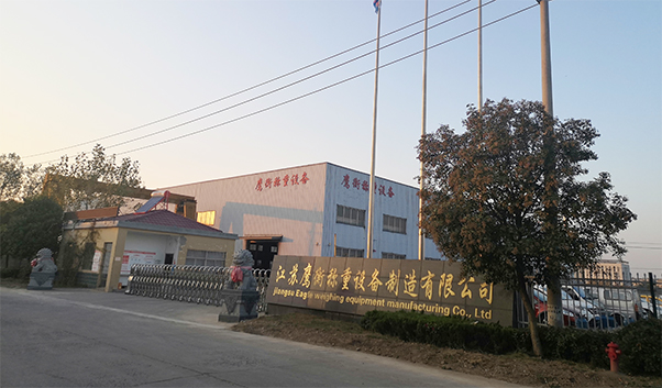 麻豆视频观看入口