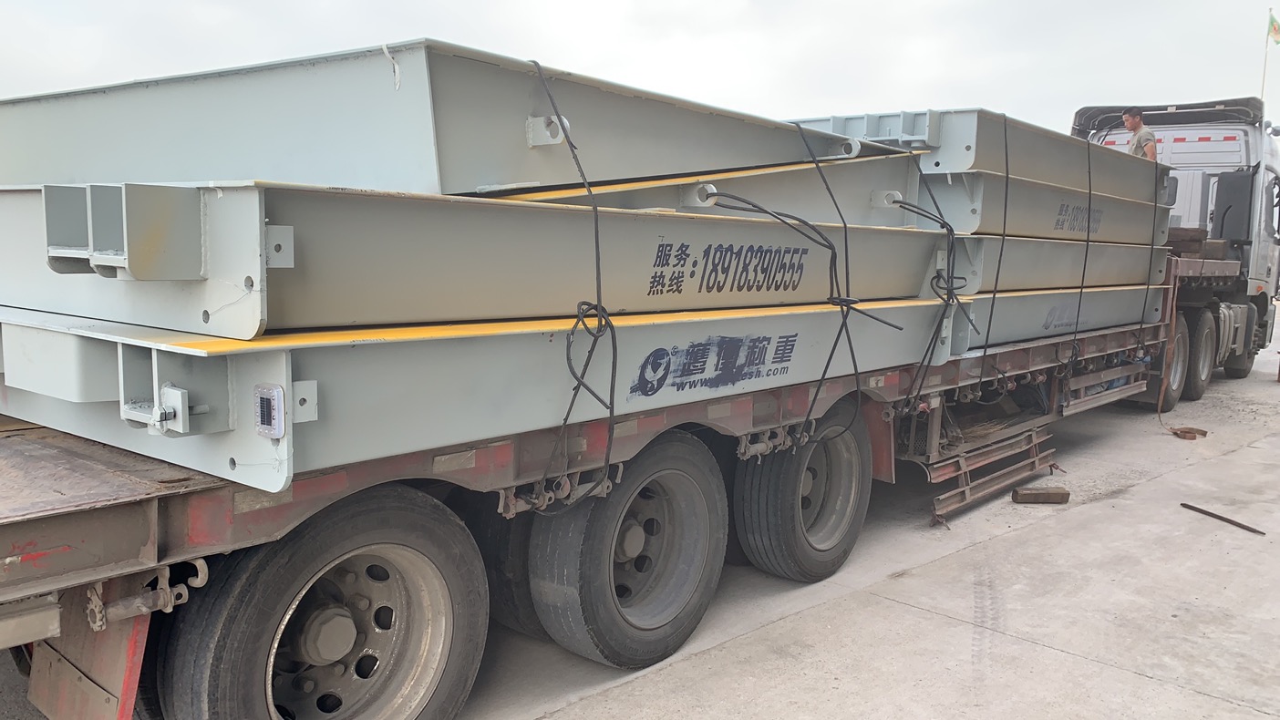 麻豆视频观看入口