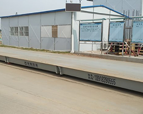 麻豆视频观看入口